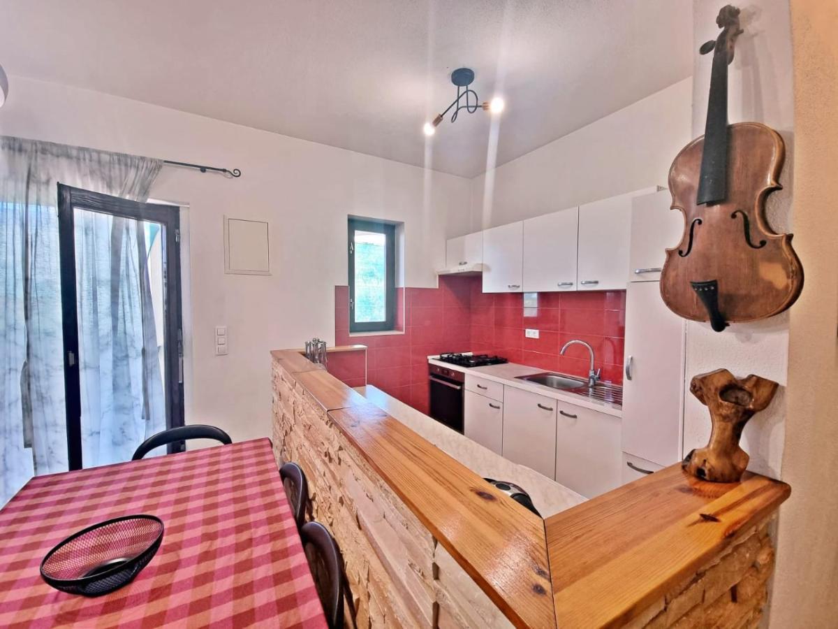Apartman Irena With Terase End Private Parking Donji Okrug  Exteriér fotografie